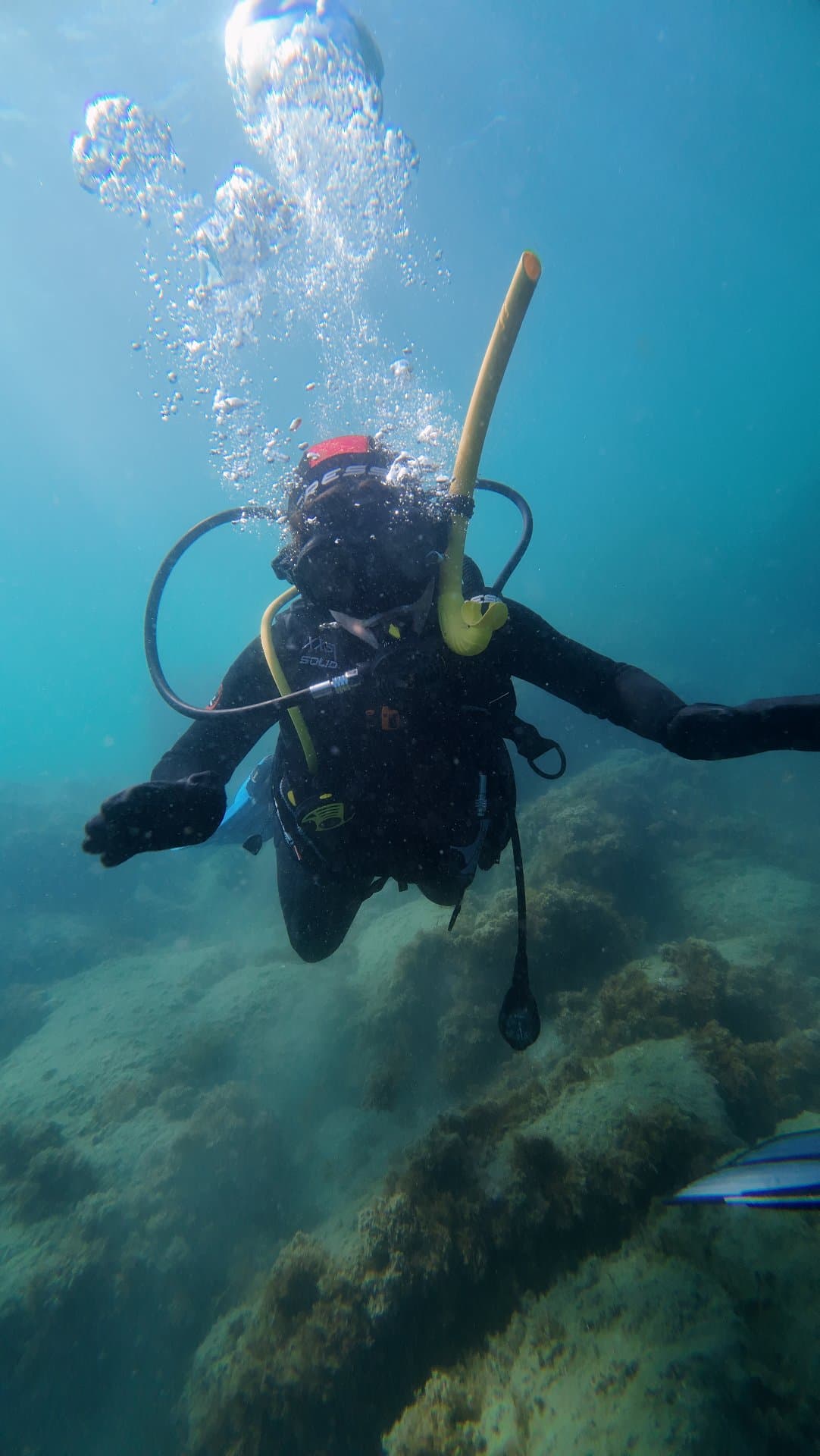 Estepona Reefs
