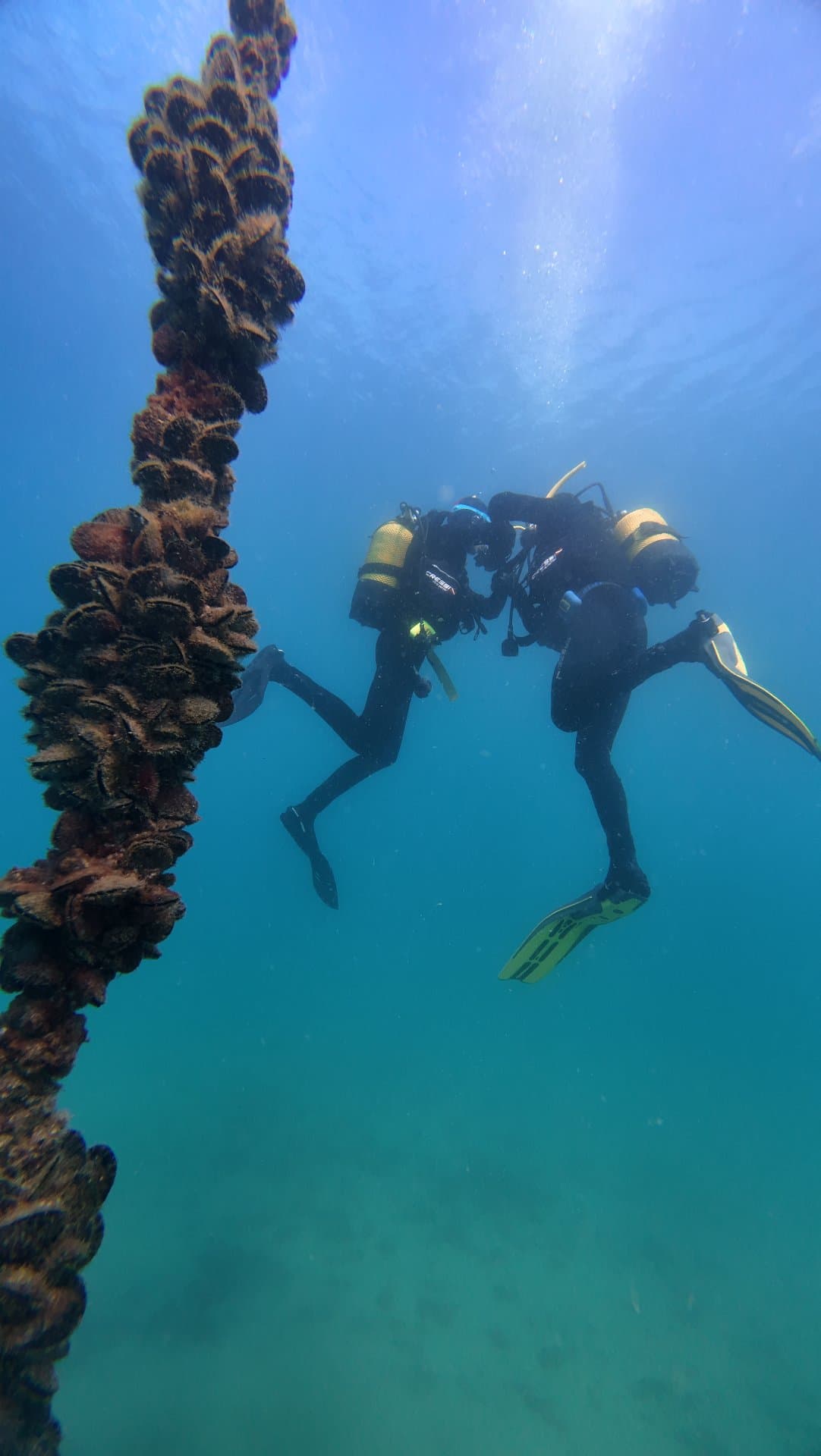 PADI Rescue + EFR