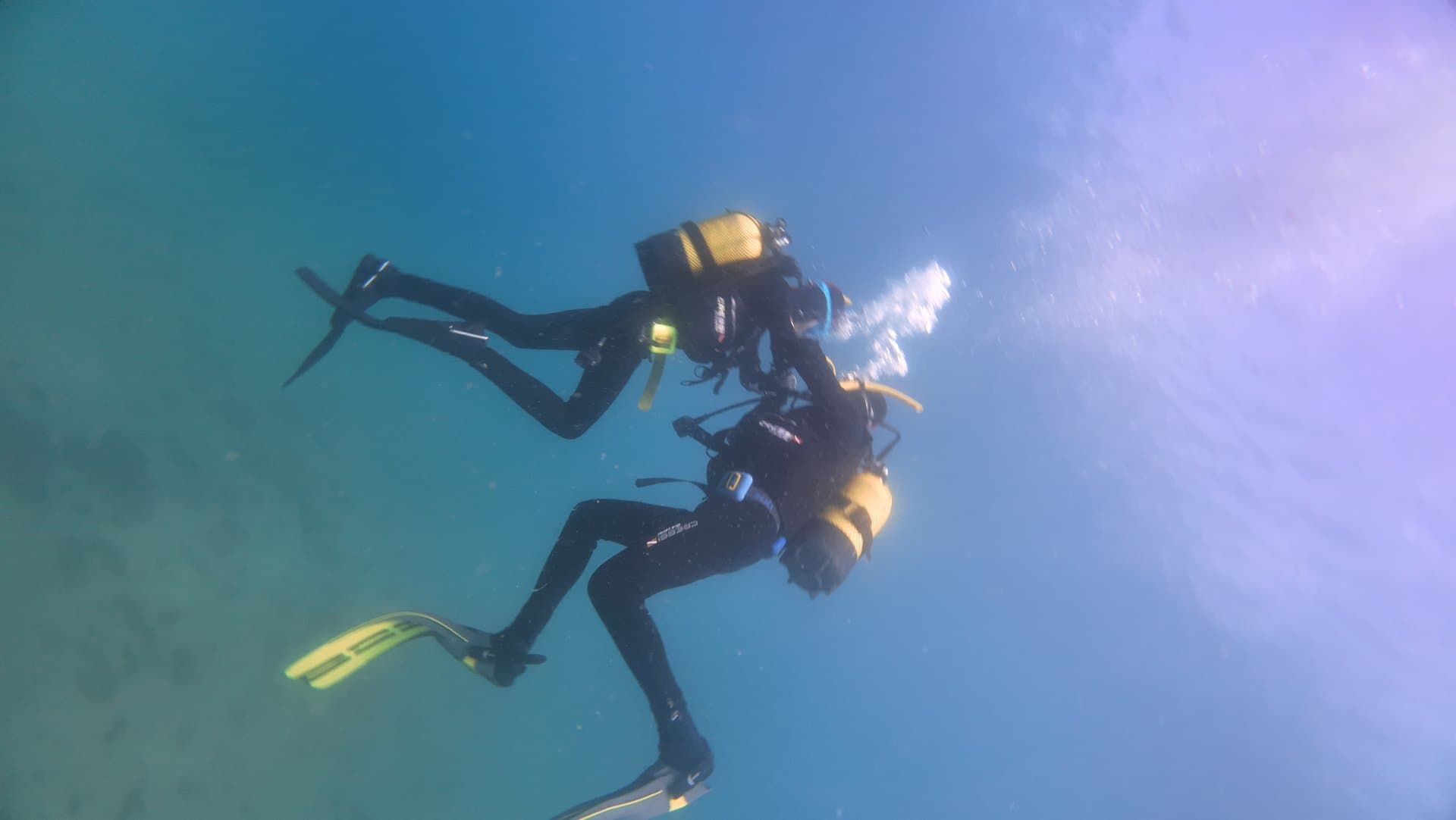 PADI Rescue + EFR