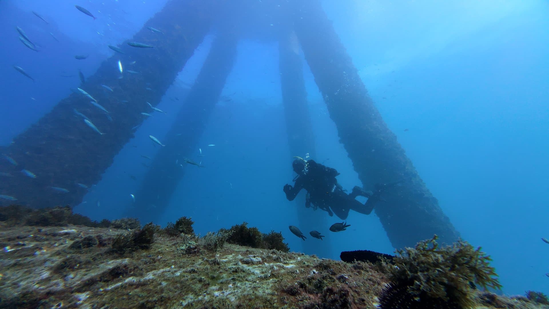 PADI Advanced Open Water