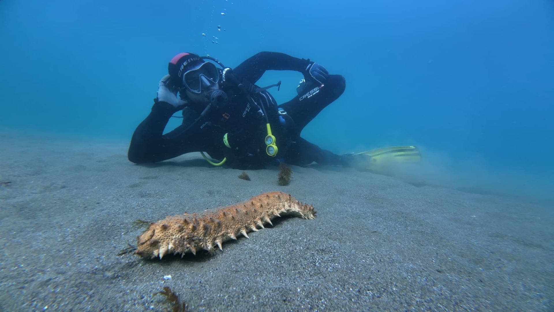 Scuba Refresher Dive