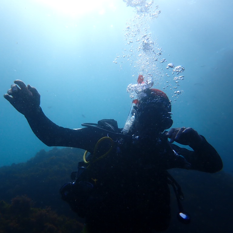 Estepona-diving-padi