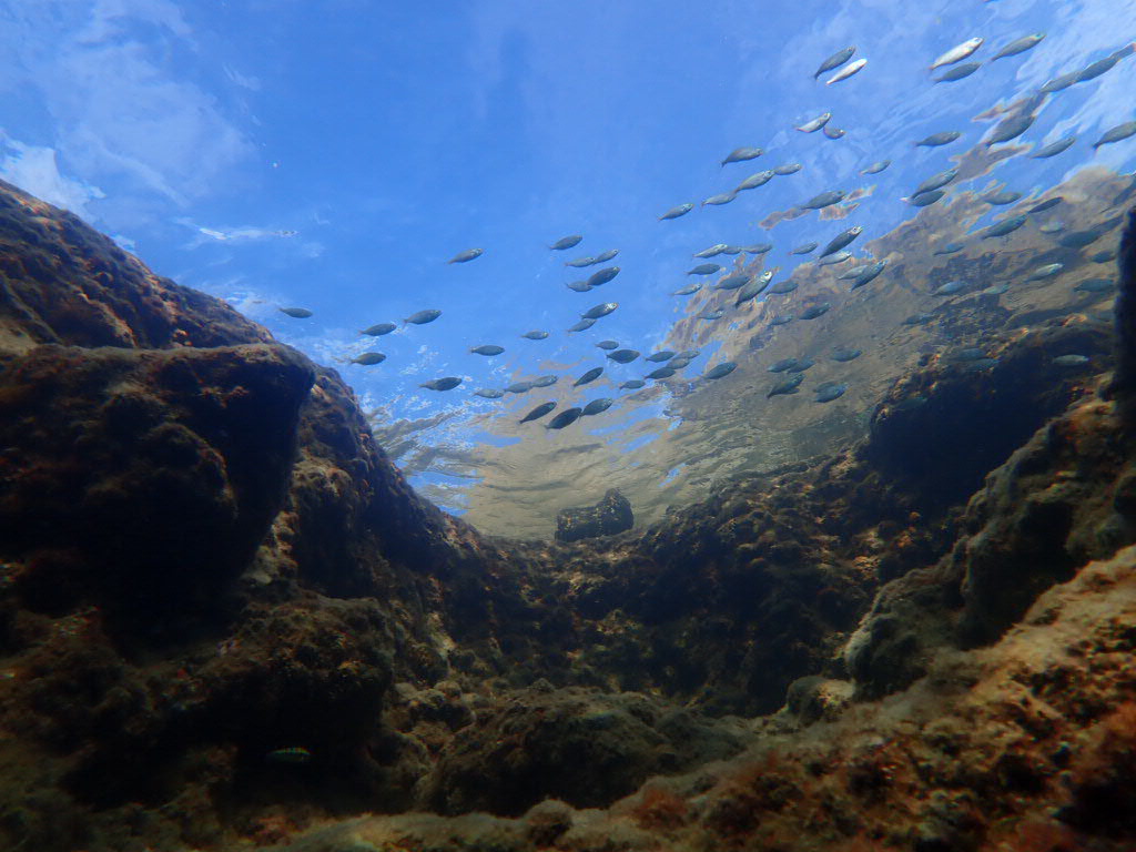 manilva diving school