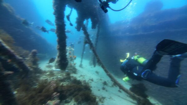 Gibraltar Dual Dive – Wreck Exploration for Certified Divers - Image 3